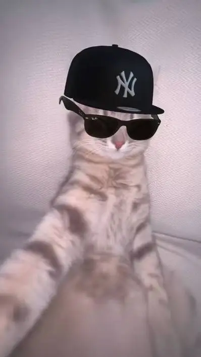 ai character: me background