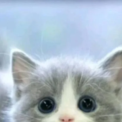 chat with ai character: kitty