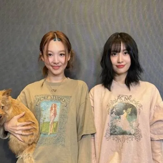 chat with ai character: nayeon y momo