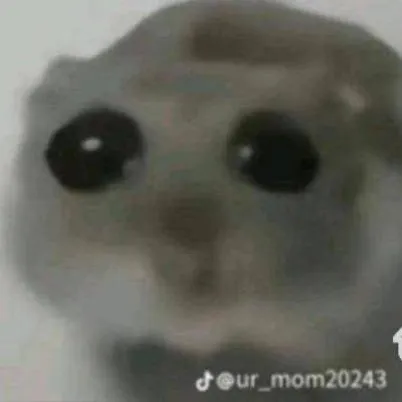 chat with ai character: Hamster friend