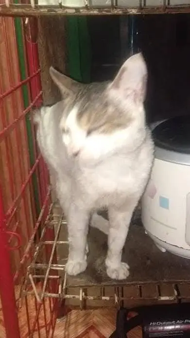 ai character: Dle Police background