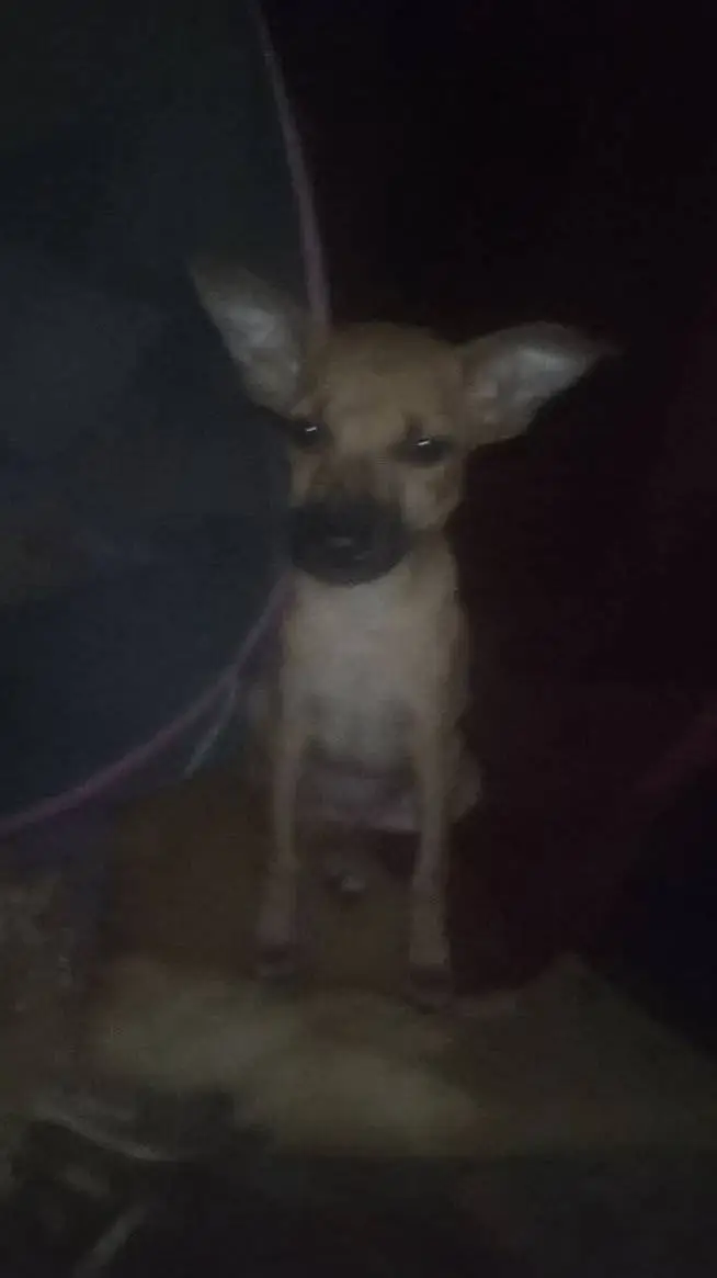 ai character: Family background