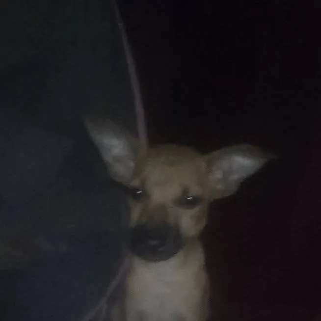 chat with ai character: Family