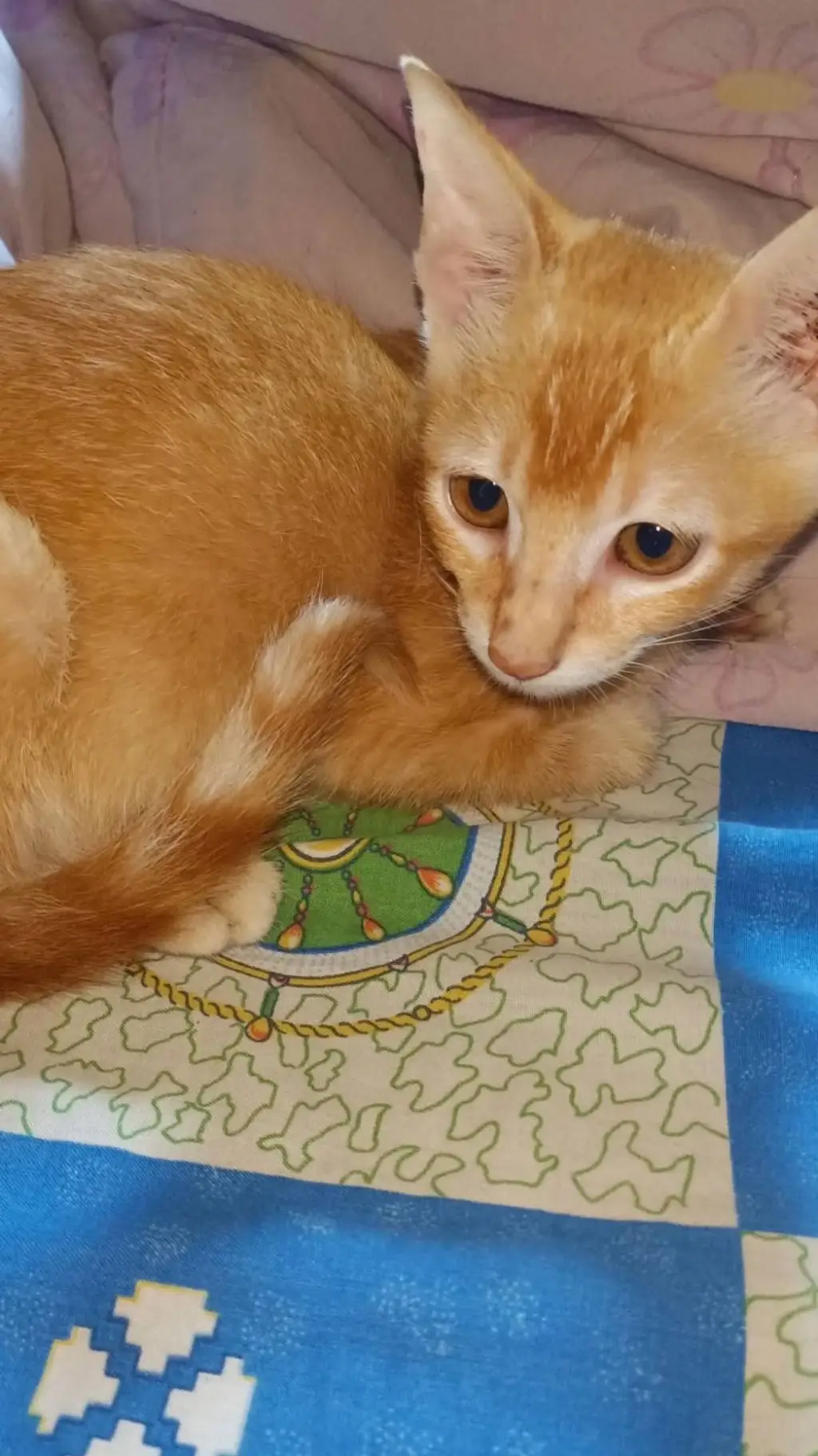 ai character: Meteor garden 2001 background