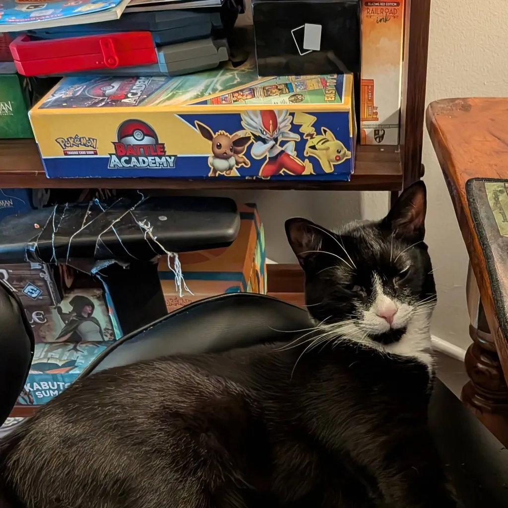chat with ai character: kitty 