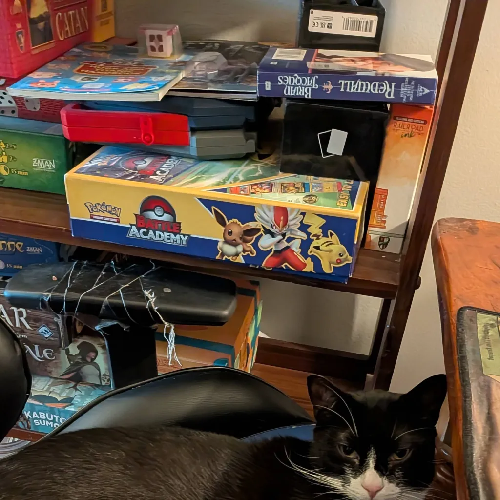 chat with ai character:  cat 