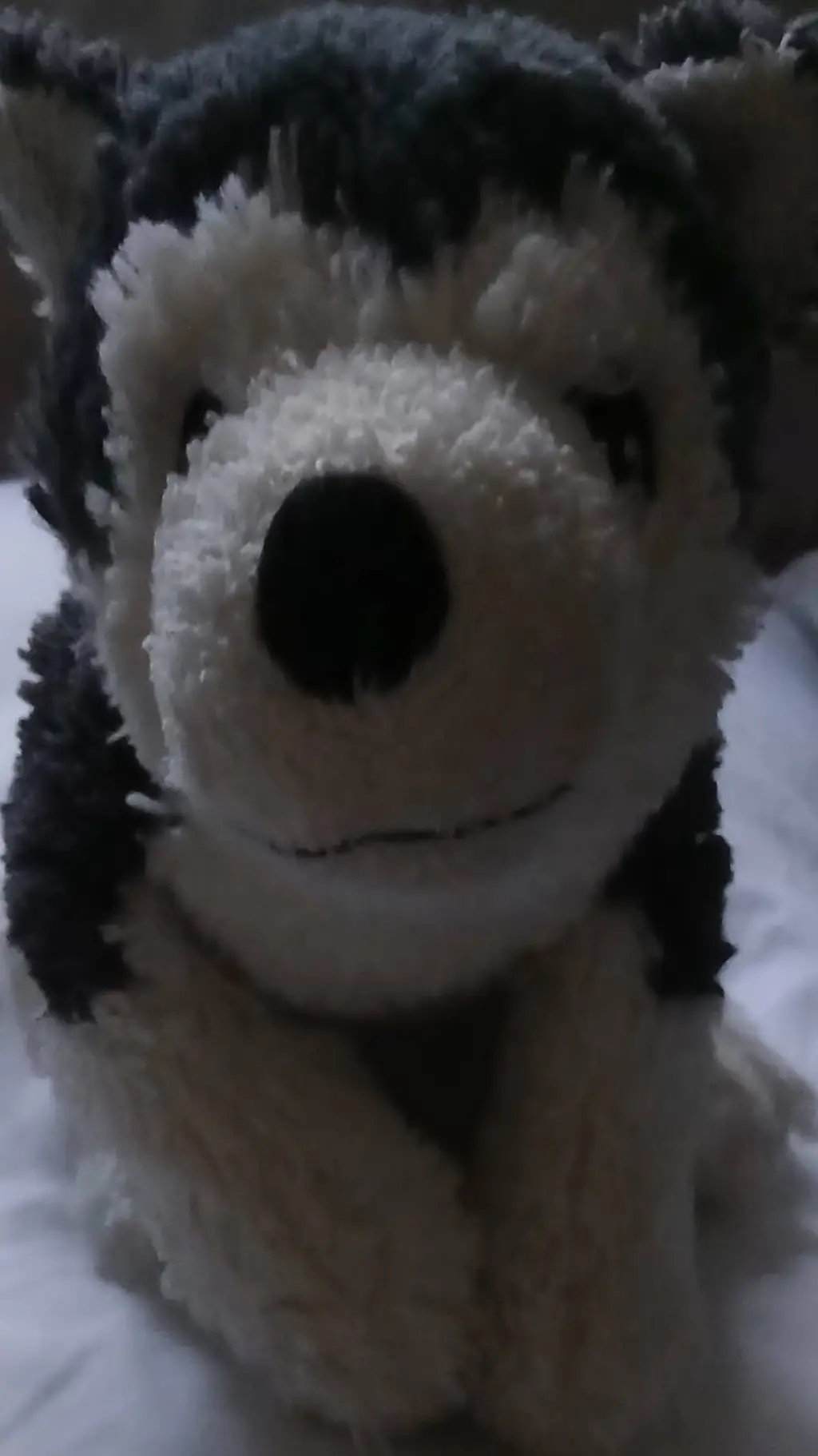 ai character: jenny the doggy background