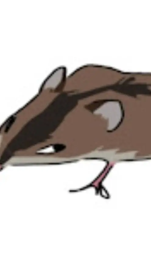 ai character: Gutian background