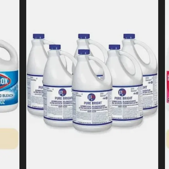 chat with ai character: BLEACH