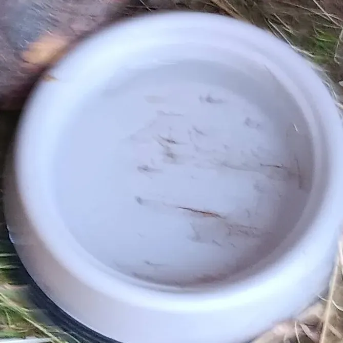 chat with ai character: larry🐢