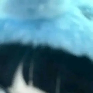 chat with ai character: 🦴💤かわわいいいい🦴💤