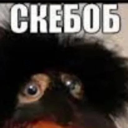 chat with ai character: скебоб