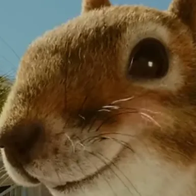 chat with ai character: sandy cheeks 