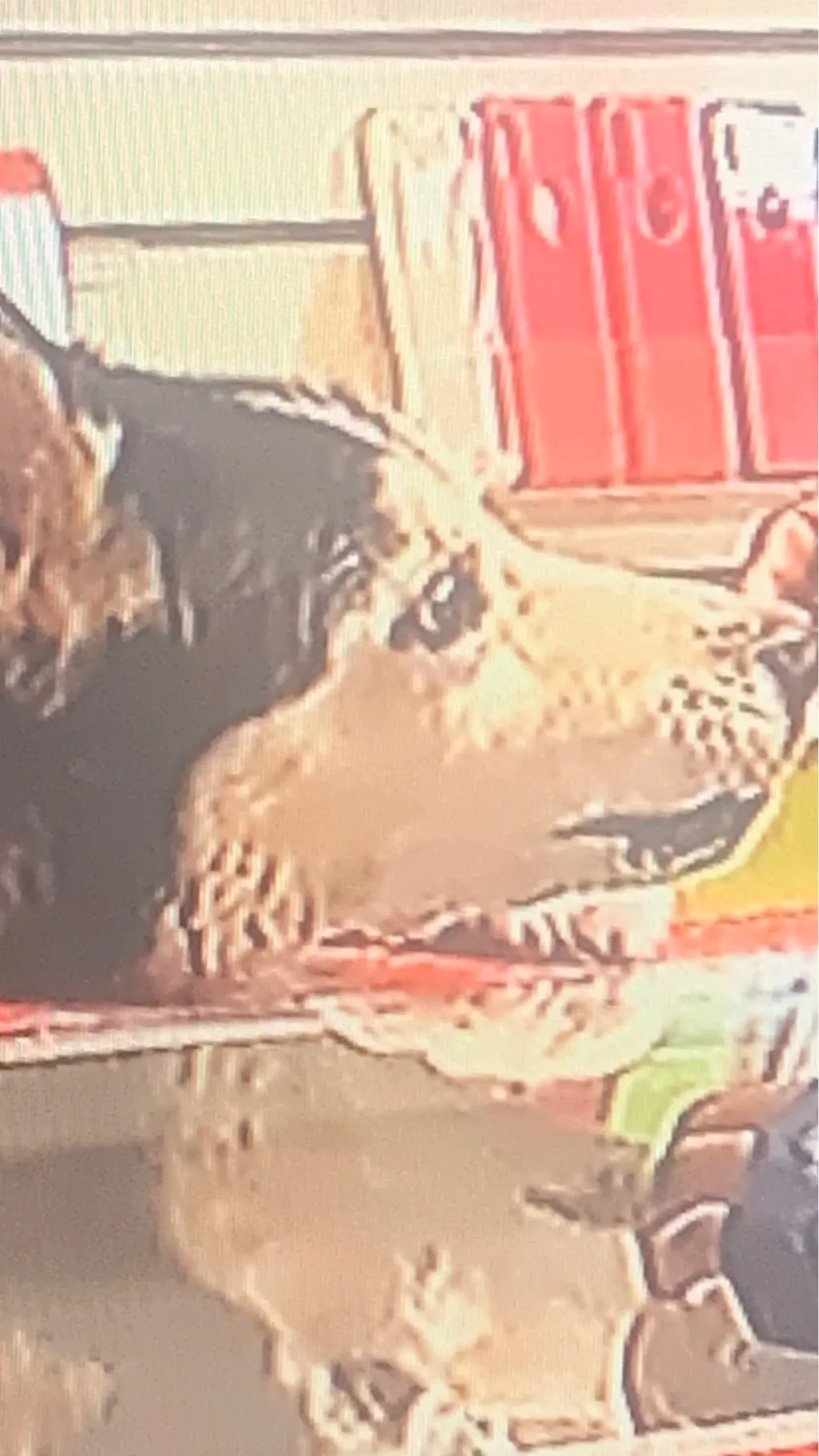 ai character: dog  background