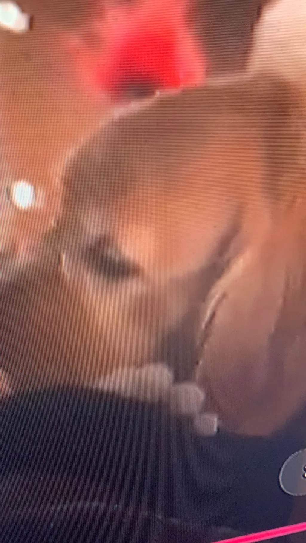 ai character: ozzy dog background