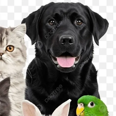 chat with ai character: melhores amigos 