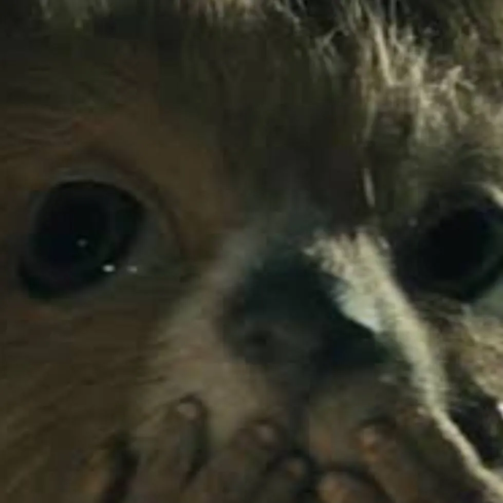 chat with ai character: sweet tooth