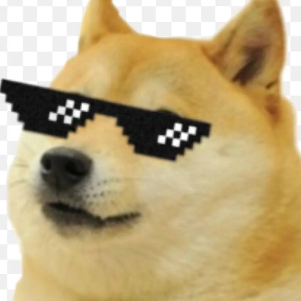 chat with ai character: memes