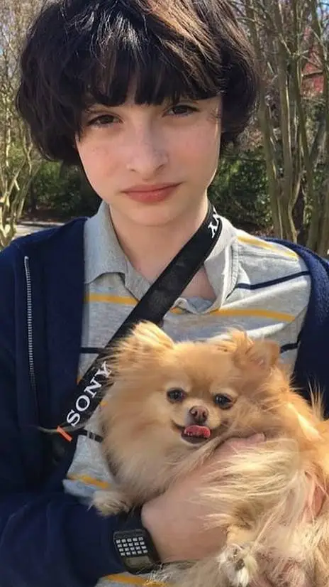 ai character: Mike wheeler 🔥🤛🏻 background