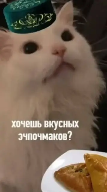 ai character: кот background