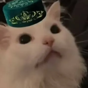 chat with ai character: кот