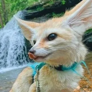 chat with ai character: Bob