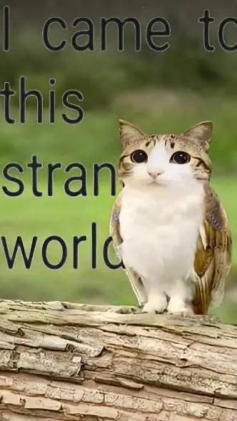 ai character: Forsaken pick me background