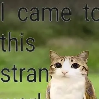 chat with ai character: Forsaken pick me