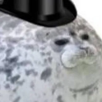 chat with ai character: foca guatona