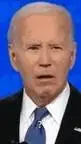 Talkie AI - Chat with planet joe biden