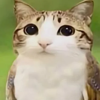 chat with ai character: meowl