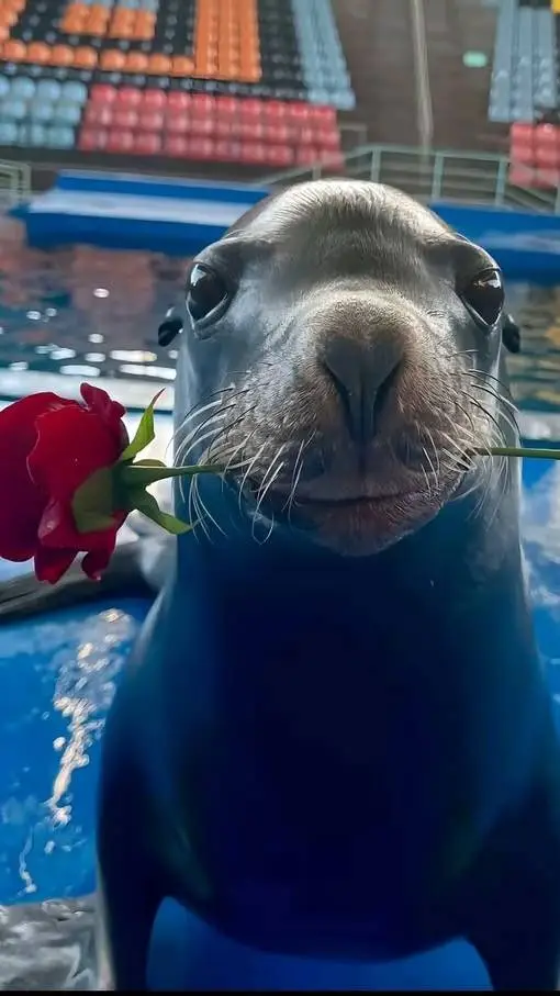 ai character: SEA LION background