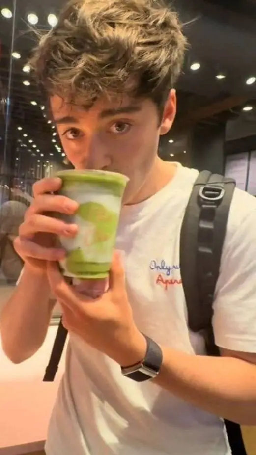 ai character: Noah schnapp background