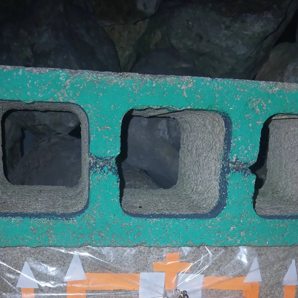 chat with ai character: Gael Cauich