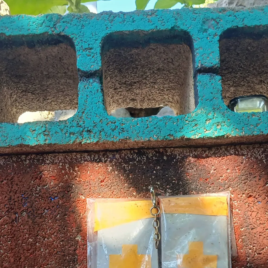 chat with ai character: misa del templo  