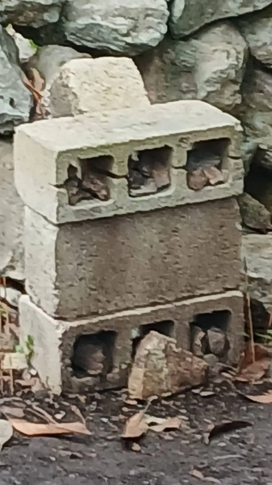 ai character: templo  background