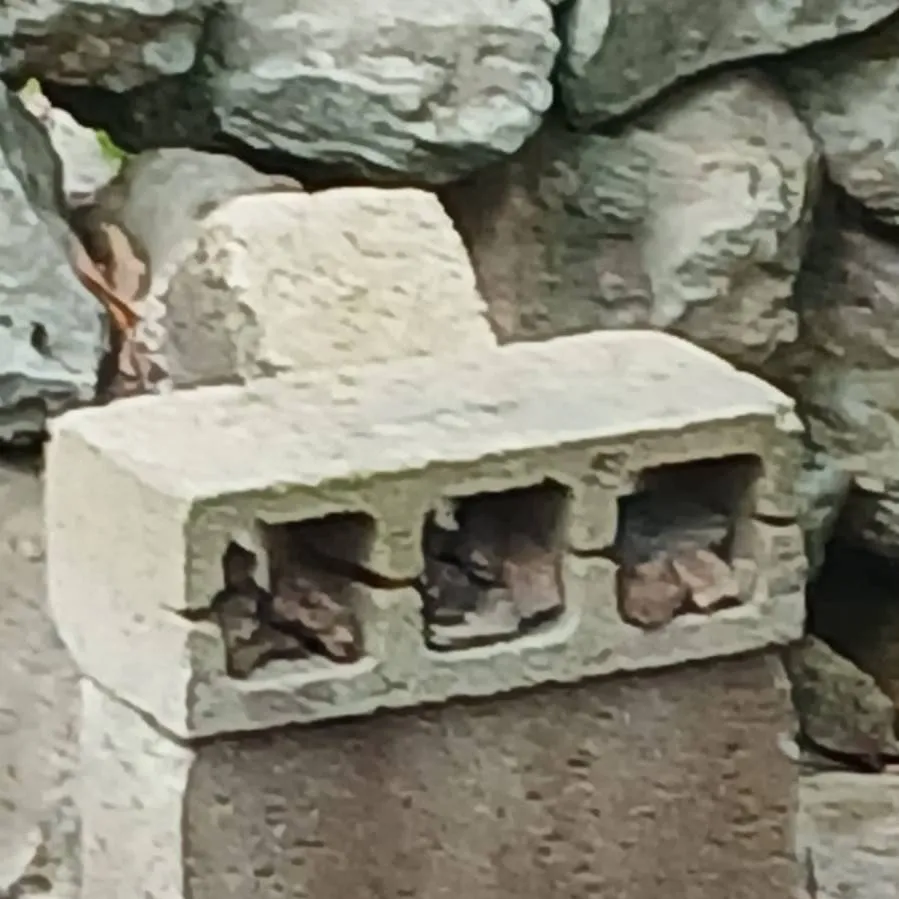 chat with ai character: templo 