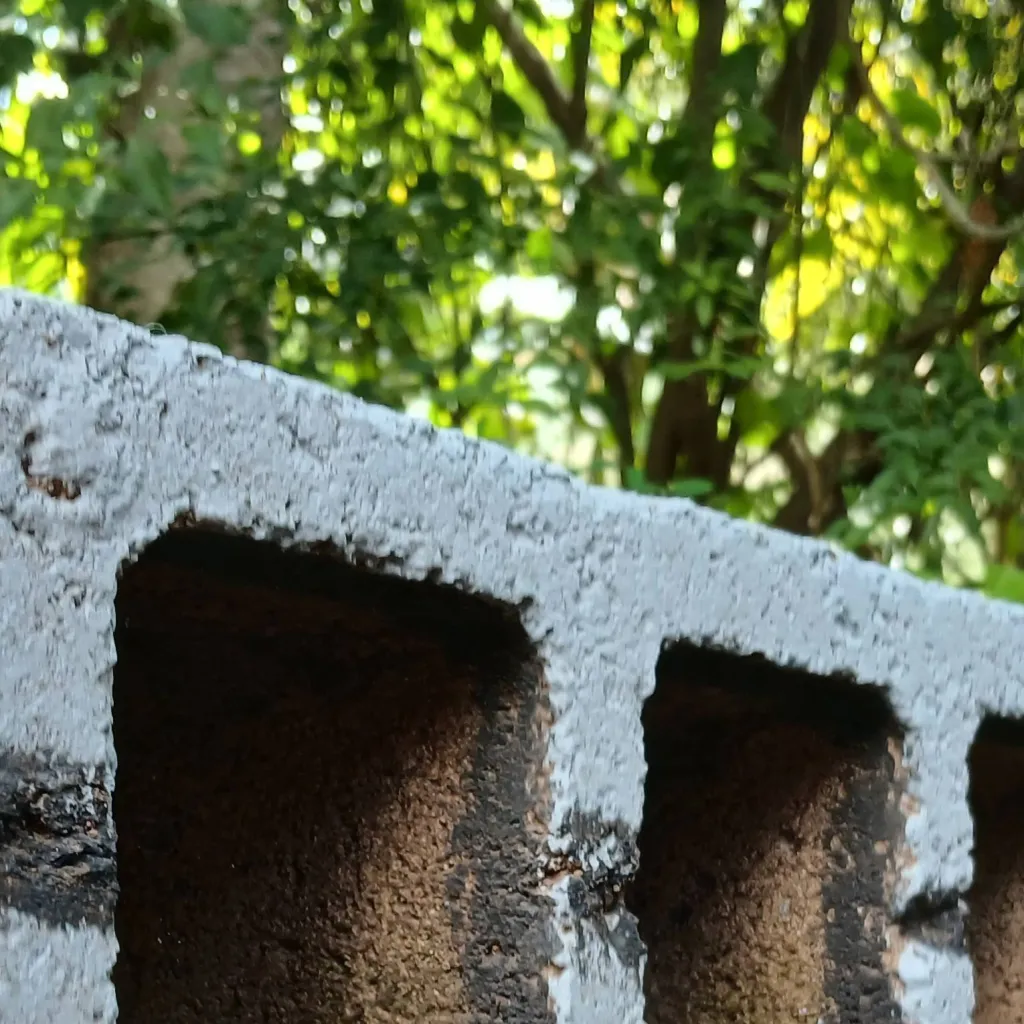 chat with ai character: capilla 