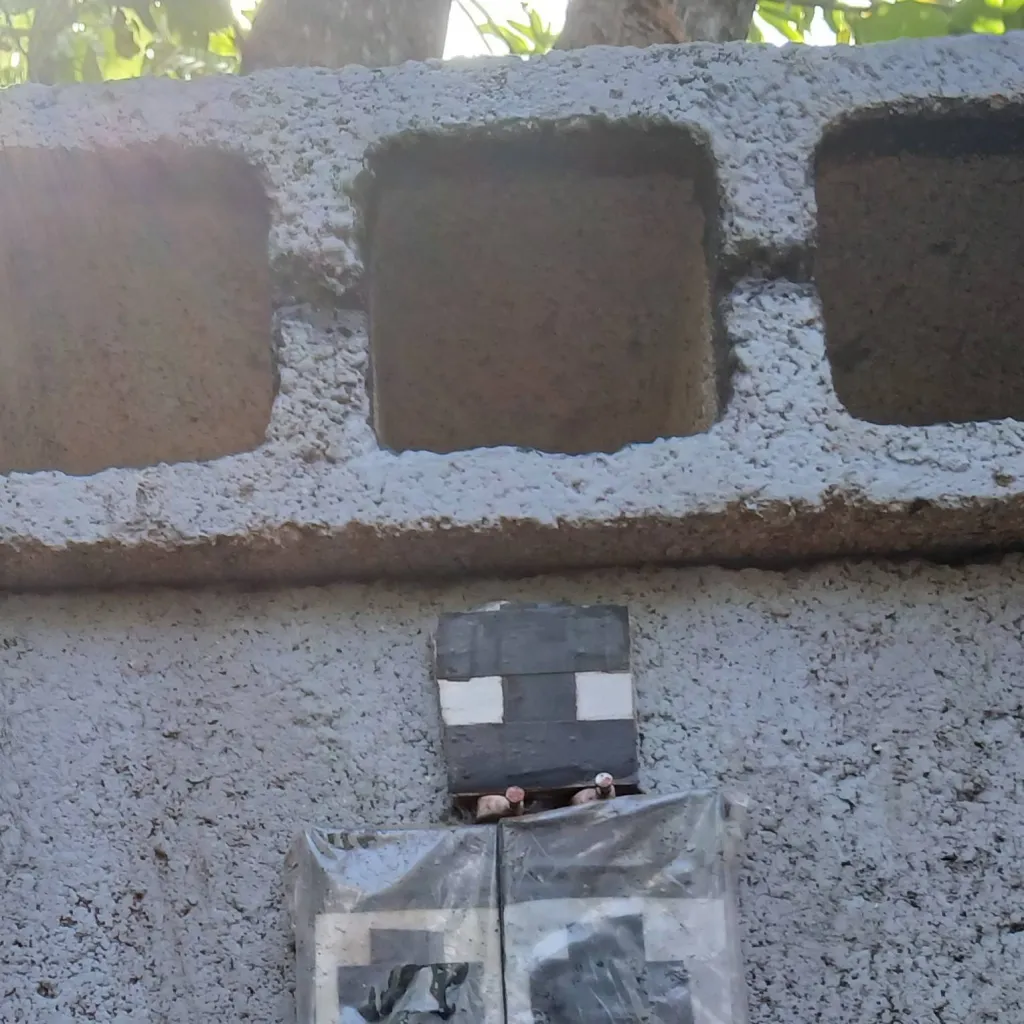 chat with ai character: iglesia 