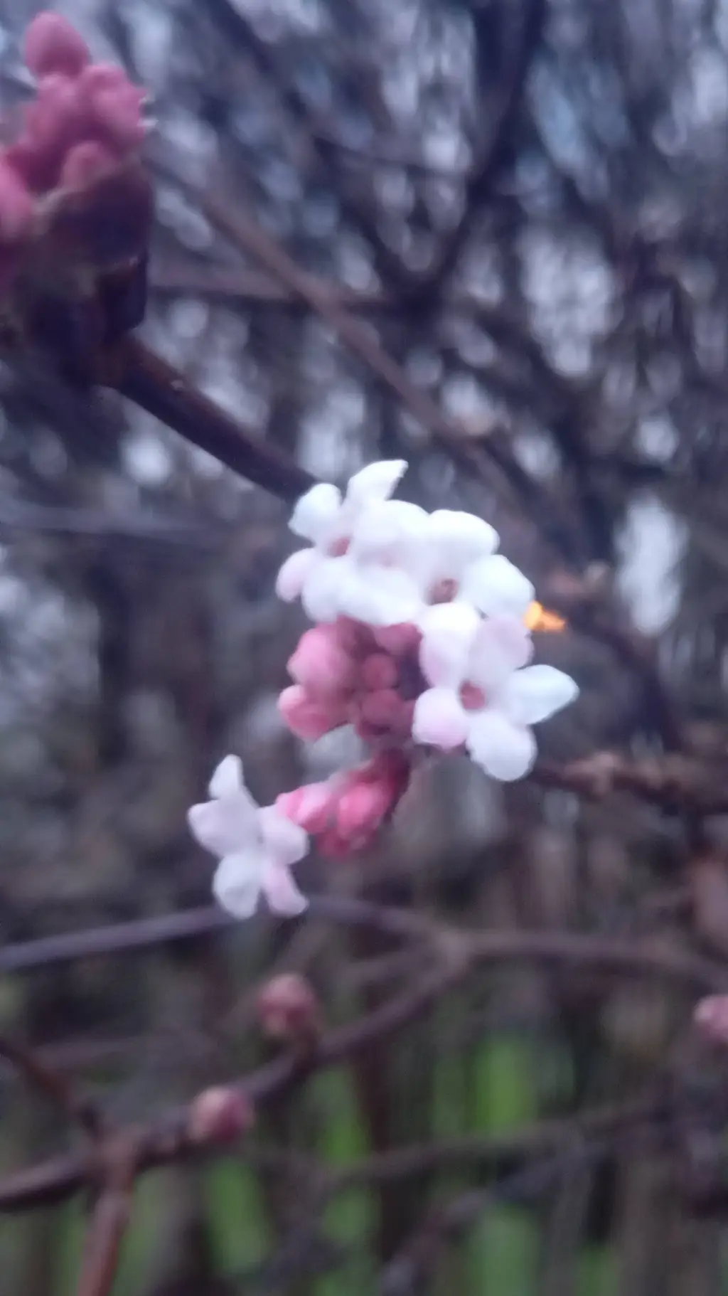 ai character: Sasunaru/Narusasu  background