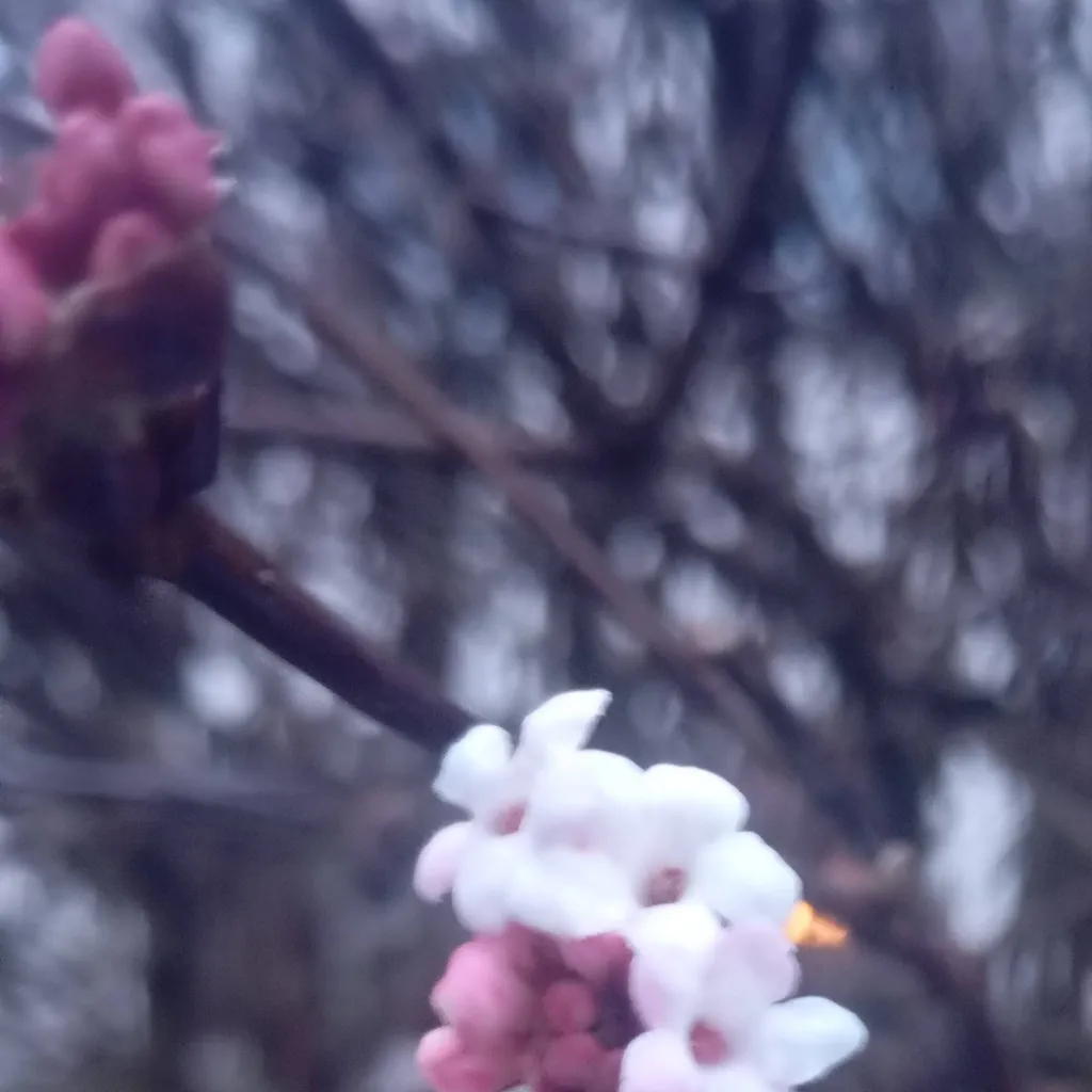 chat with ai character: Sasunaru/Narusasu 