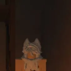 chat with ai character: кошак кит