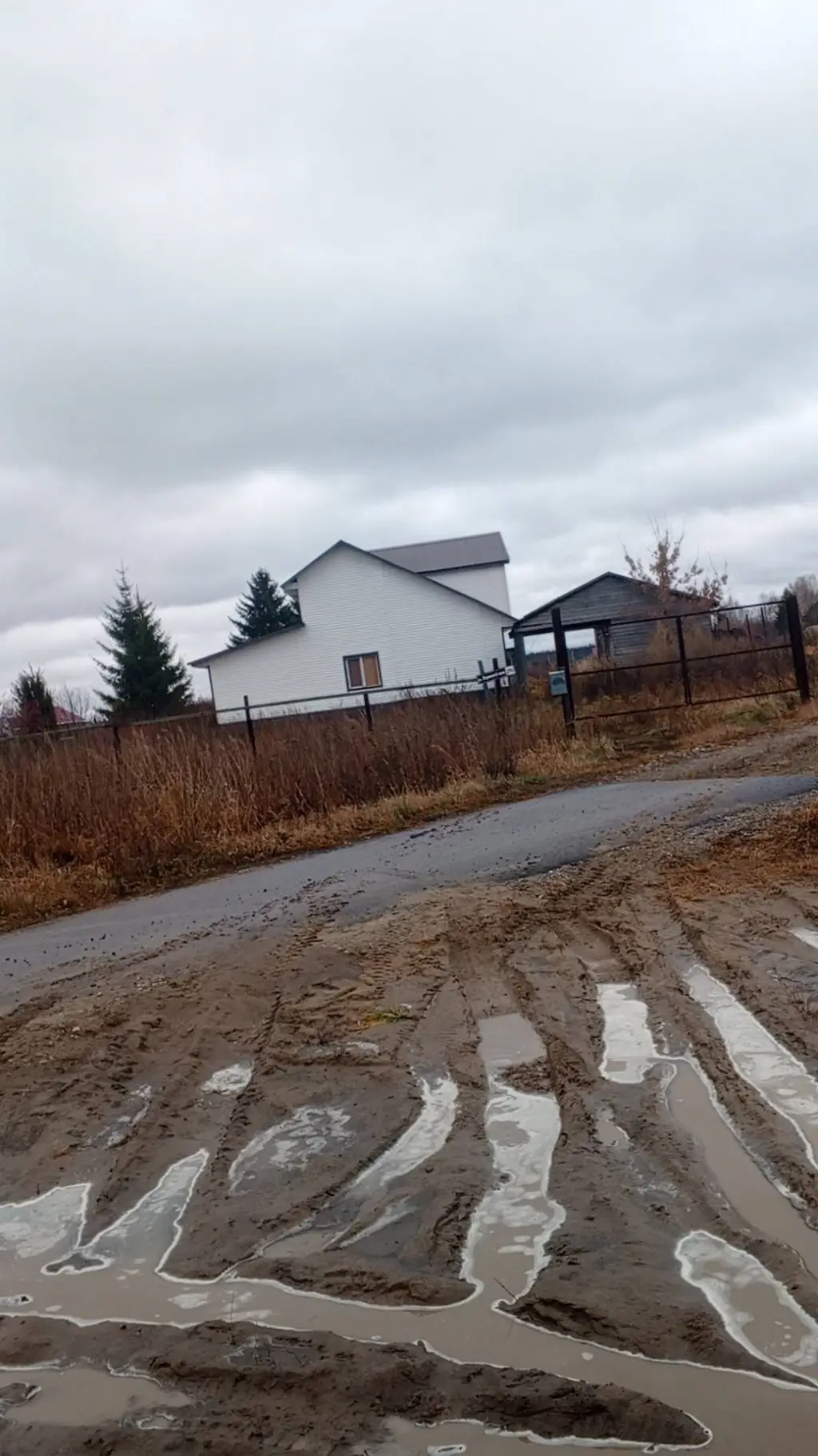 ai character: папа.( background