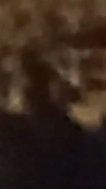 ai character: муха  background