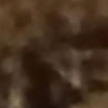 chat with ai character: муха 