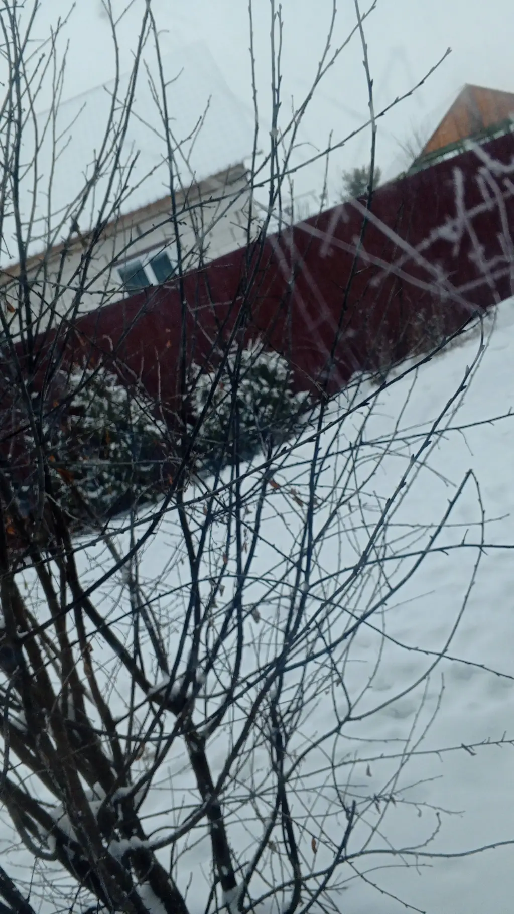 ai character: отец,папа  background