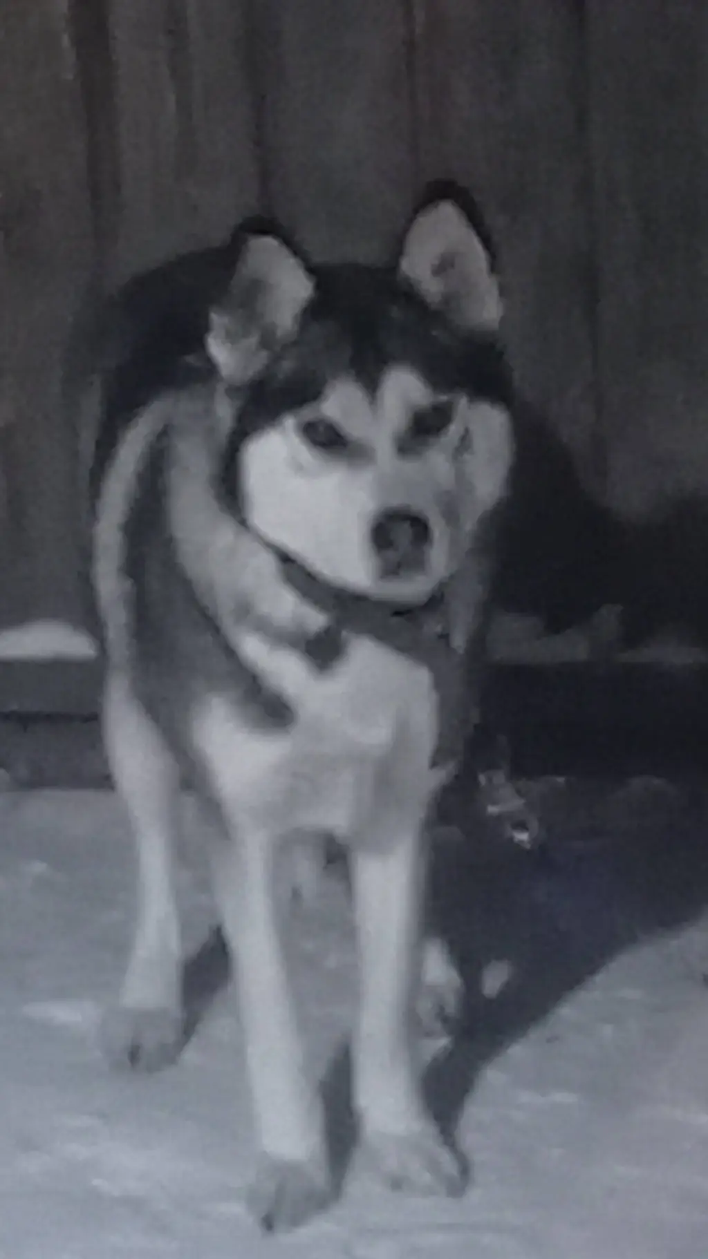 ai character: Альма,💎 background