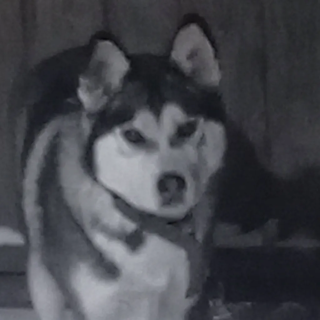 chat with ai character: Альма,💎