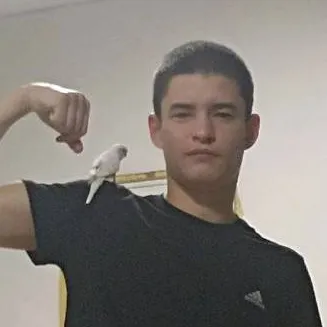 chat with ai character: 🤍:Ромка:🤍