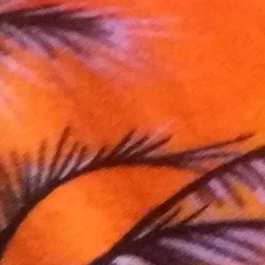 chat with ai character: fpe sunshine